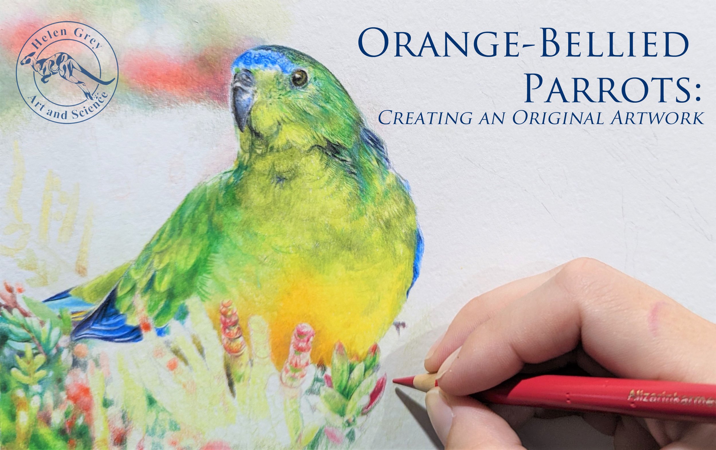 Articles and behind the scenes — Helen Grey Art and Science